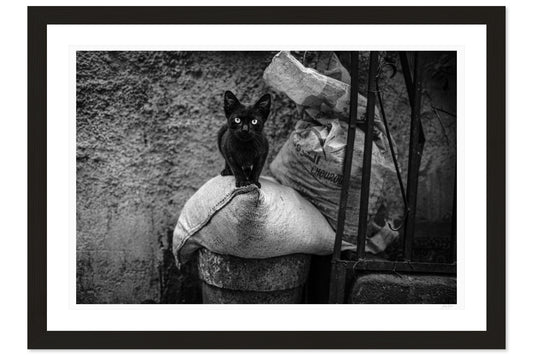 Eyes of the Medina