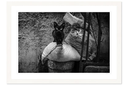 Eyes of the Medina
