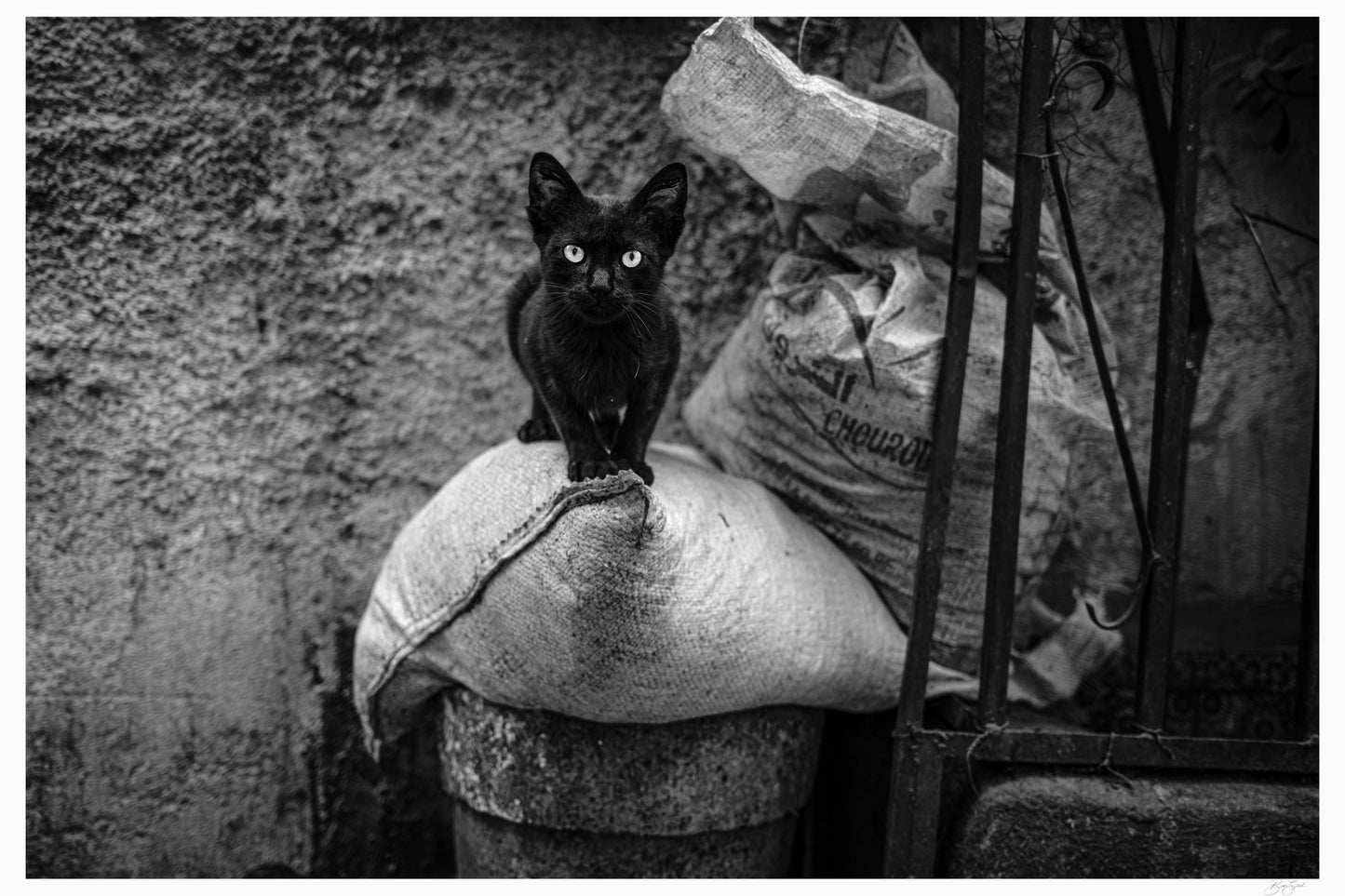 Eyes of the Medina