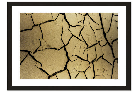Fractured Silence