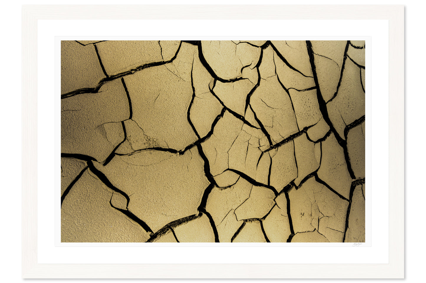 Fractured Silence