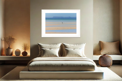 Tidal Harmony